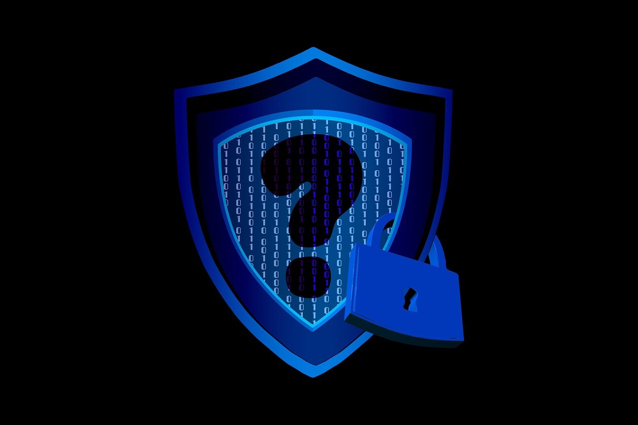 shield, security, lock, vulnerability, firewall, encryption, authentication, password, phishing, malware, spyware, ransomware, data protection, threat, risk, protection, prevention, surveillance, alarm, access control, backup, update, security protocol